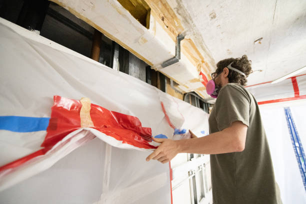 Best Mold Damage Restoration  in Fruitridge Pocket, CA